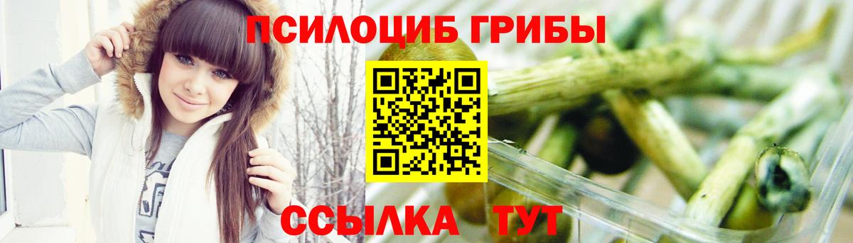 Псилоцибиновые грибы прущие грибы  Вход с VPN  Донской 